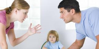 Причины разводов молодой семьи