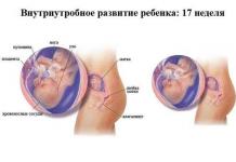 Плацента и размеры живота