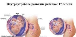 Плацента и размеры живота